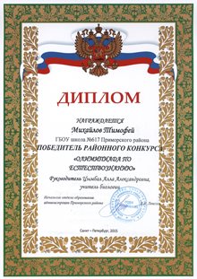 2015-2016 Михайлов Тимофей 6л